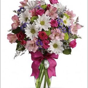 Meet your Posher, Carly